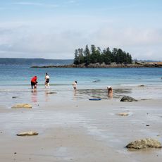 Sandy River Beach