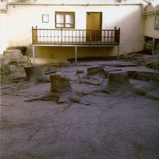 Fossil Grove