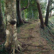 Ito Castle