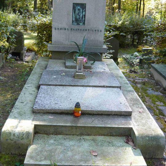 Hrobka - náhrobek rodiny Kratochvílovy, hrobka rodiny Sochorovy, pomníky z války r.1866