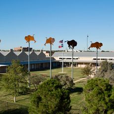 Frontier Texas!