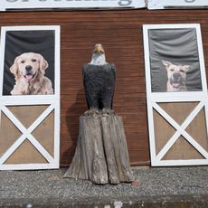 Dzieło sztuki, rzeźba