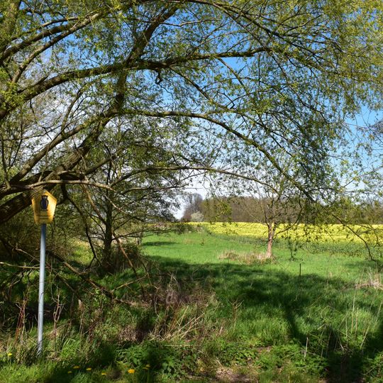 Renaturierter Teich Frankenau