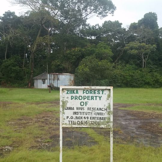 Zika Forest