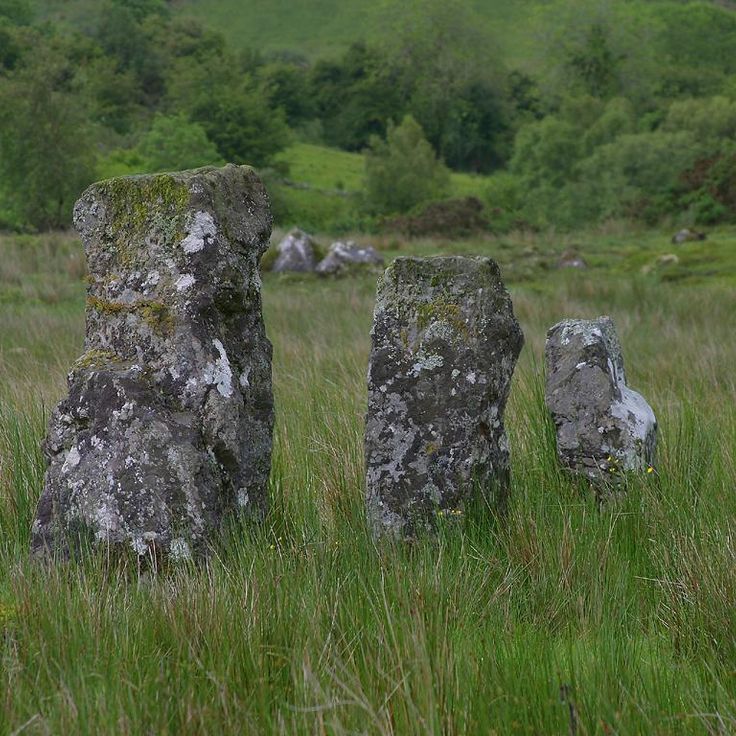 Krąg Kamieni Drumskinny