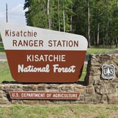 Kisatchie National Forest