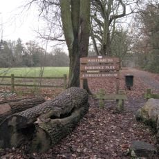 Dorridge Wood
