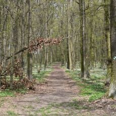 Naučná stezka Češov – Vysoké Veselí