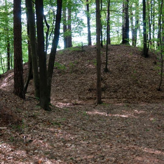 Siedlung und Nekropole der Hallstattzeit auf dem Burgstallkogel