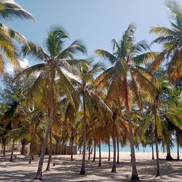Fotolocaties in Mozambique