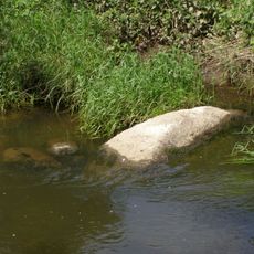 Salantų akmuo su Laumės pėda