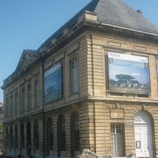 Muséum d'histoire naturelle du Havre