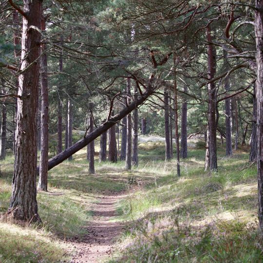 Mälarhusens naturreservat