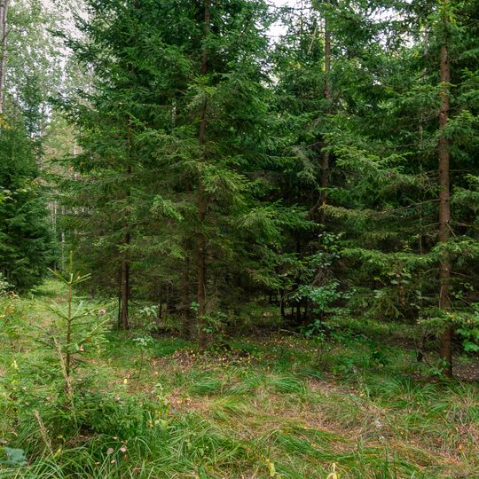 Naudas kalniņš, Laupītāju pils - nostāstu vieta