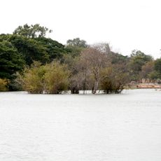 Sankey tank