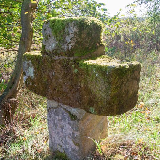 "Niedermann-Kreuz" bei Schwanstetten