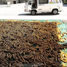 Praia Fluvial de Granja do Tedo