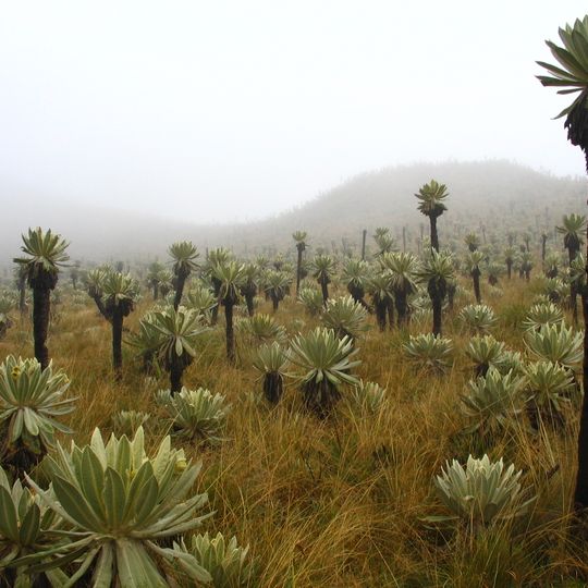 El Ángel Ecological Reserve