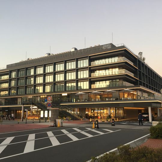 Yokohama Hammerhead