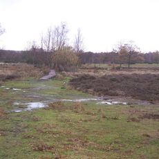 Hothfield Common