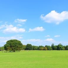 Shōwa Memorial Park