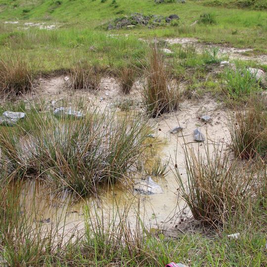 Naturschutzgebiet Kaolingrube Ortenberg