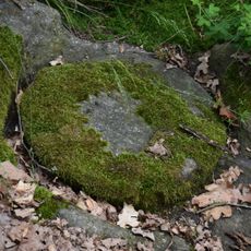 Mühlsteinbruch Altenhof