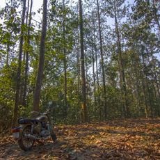 Dehing Patkai National Park