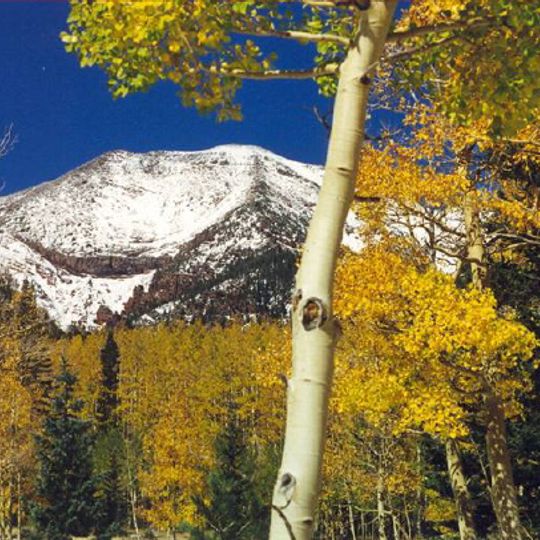 Kachina Peaks Wilderness