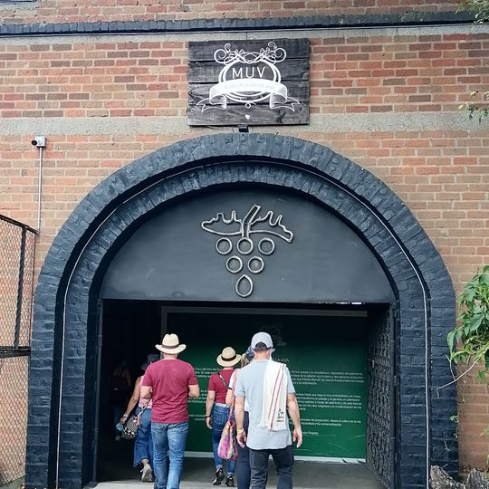 Museo de la Uva y el Vino