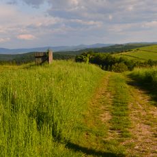 Rezerwat przyrody Kalwaria Pacławska