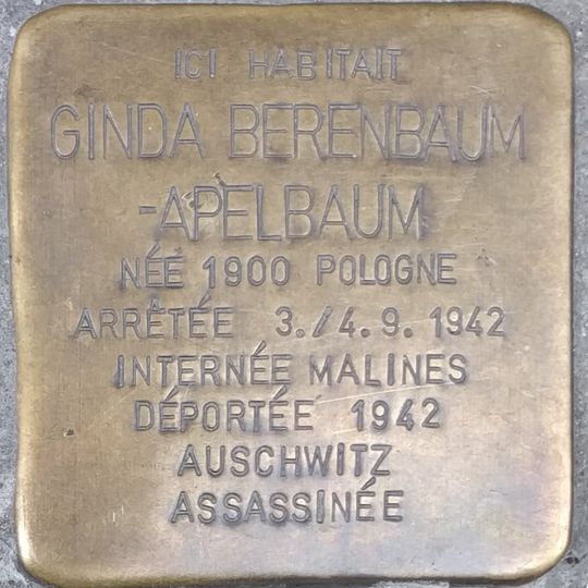 Ginda Berenbaum-Apelbaum