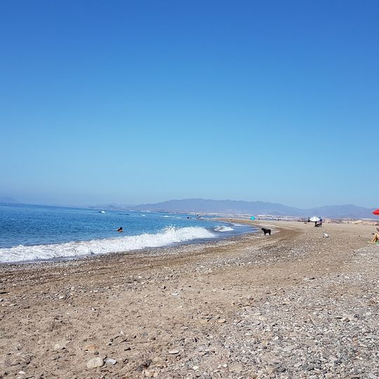 Playa para perros de Mazarrón