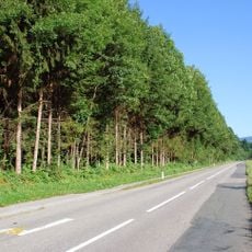 Grabhügel beim vlg. Höchkiegerl