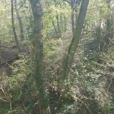 Groeve van de Scheve Spar I