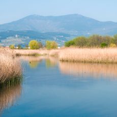 Stagni di Focognano