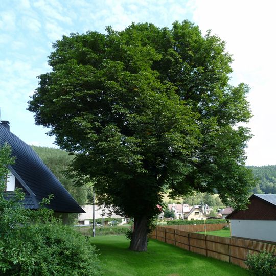 Maďal na zahradě u Mejsnarů