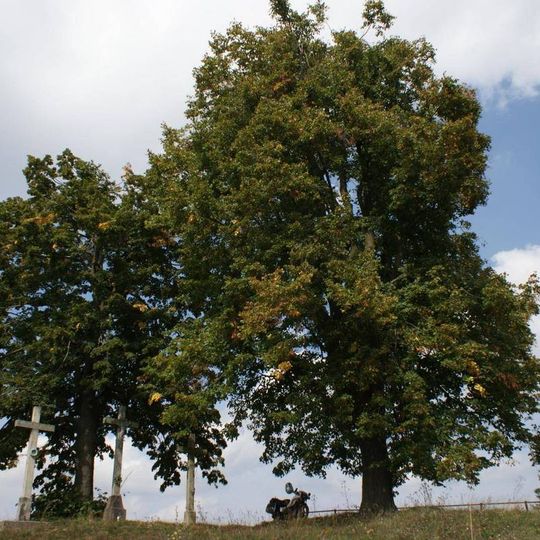 Tři kříže nad dálnicí D1 západně od Velkého Meziříčí