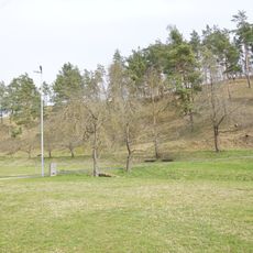 Halbtrockenrasen Südlicher Hornberg