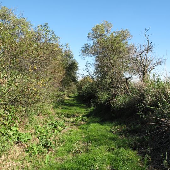 Netřebská slaniska