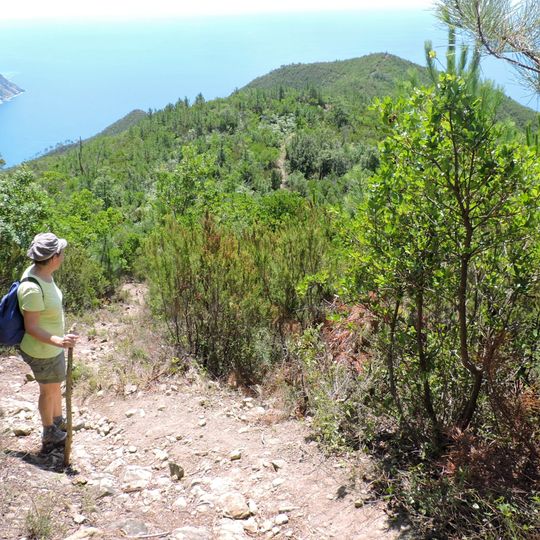 Punta Baffe - Punta Moneglia - Val Petronio