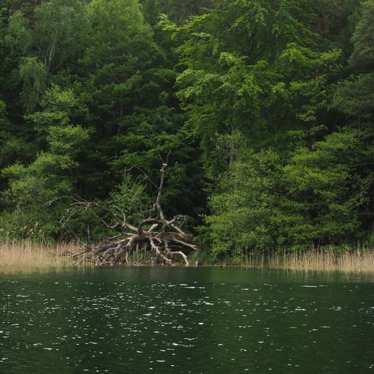 Wumm-See und Twern-See