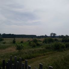 Punto di vista panoramico