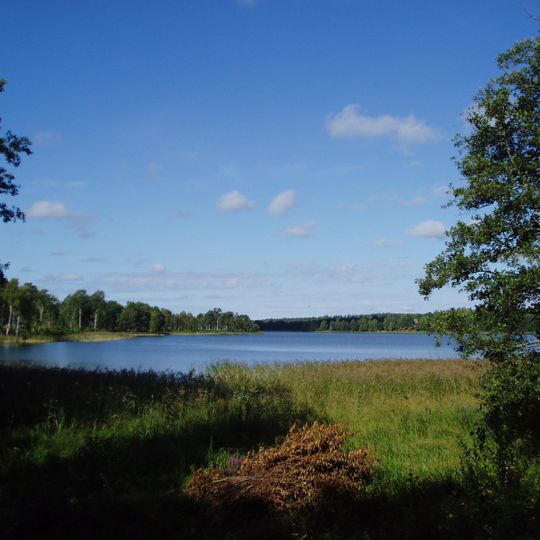 Sparren, Norrtälje
