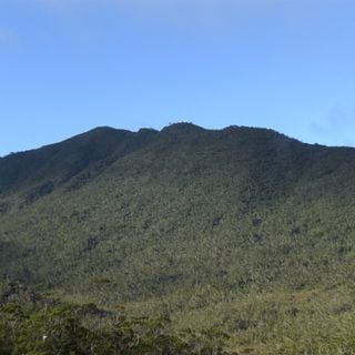 Mount Hamiguitan Range Wildlife Sanctuary