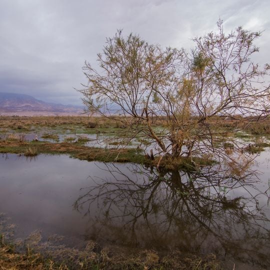 Fifa Nature Reserve