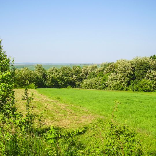 Zapadynskyi Nature Reserve
