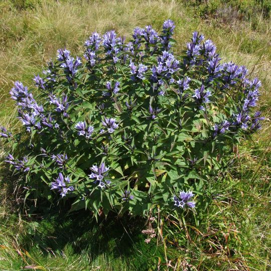 Espace Botanique du Frasnois