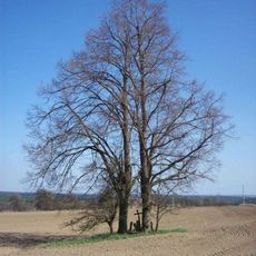 Kříž jižně od Zběšiček