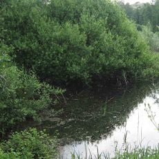 Lago di Bertignano e stagno presso la strada per Roppolo